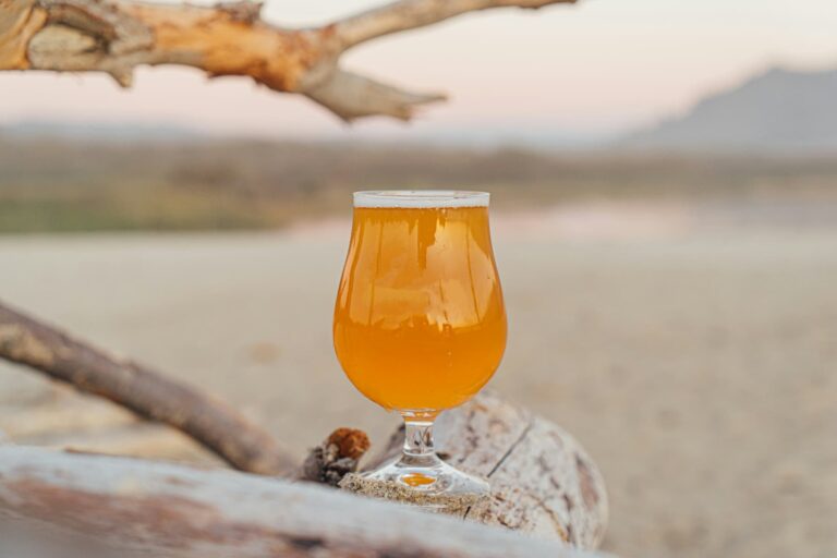 øl fyldt glas på en strand